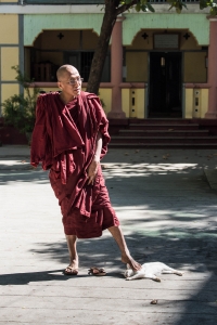 BUR-OL810_5049 Mandalay Mahagandhayon Monastery