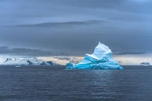 ANT-OLND4_2277 Icebergs
