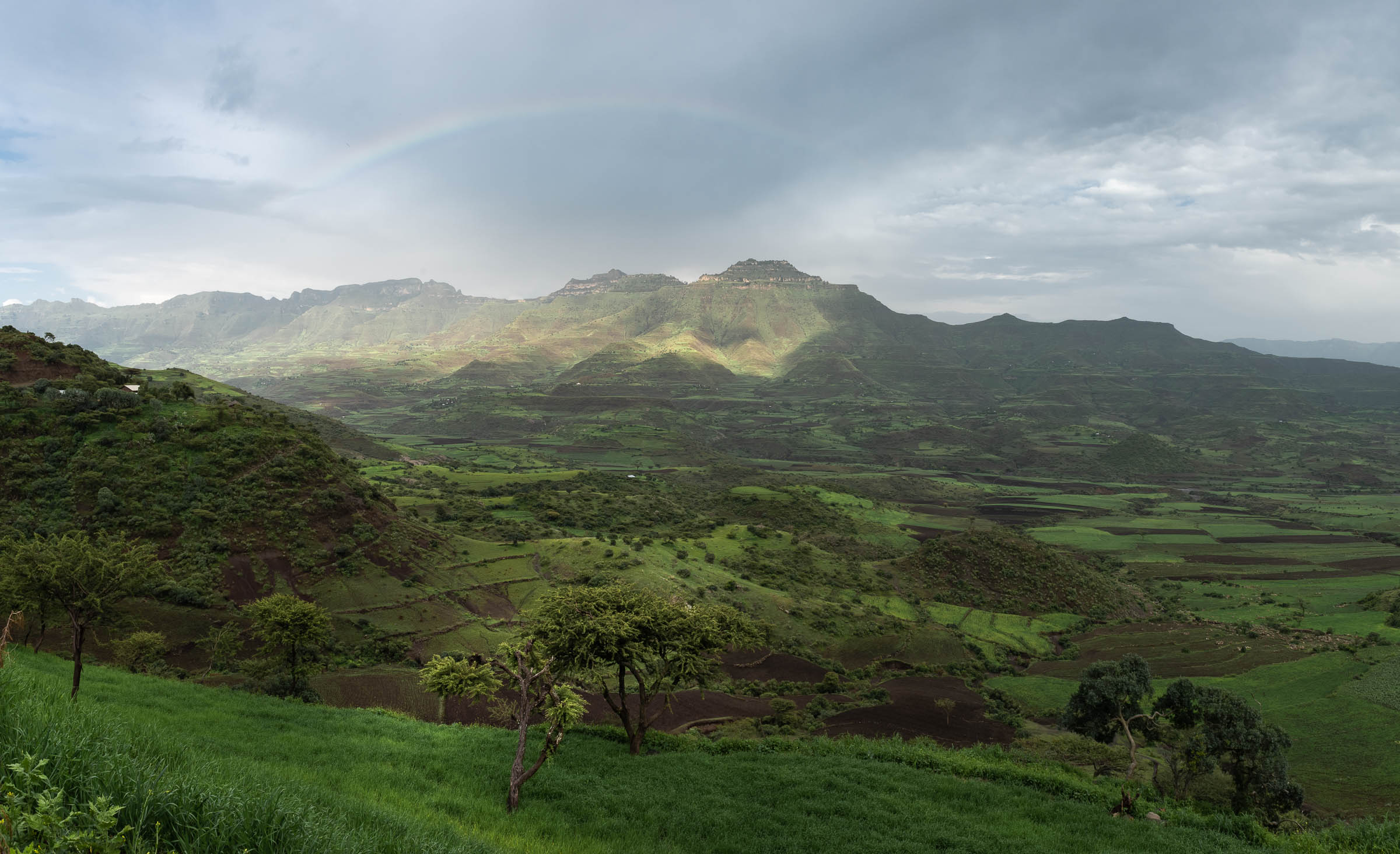 Ethiopia country. Восточная Африка Эфиопия. Климат Эфиопии. Рельеф Эфиопии. Эфиопия природа.
