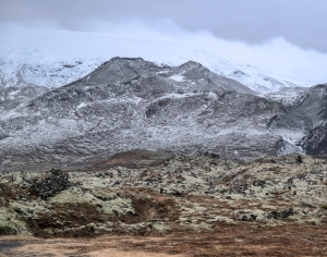 ISL-OL-NZ8_1109
