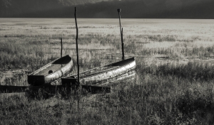NDZ-OL-NZ7_3291