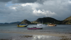 NDZ-OL-NZ7_4386