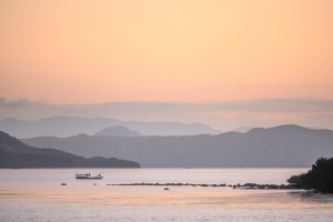NDZ-OL-NZ7_4426