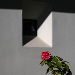 ITA-OL-NZ8_5821