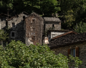 ITA-OL-NZ8_5826