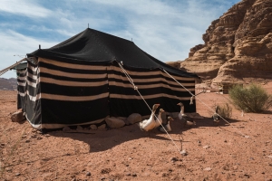 Wadi-Rum-Desert