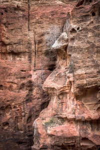 Petra-National-Park
