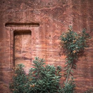 Petra-National-Park
