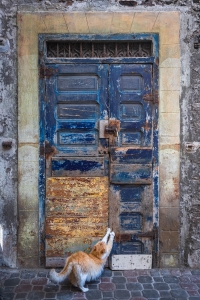 MRC-OL-N5D_5793 Essaouira, Door
