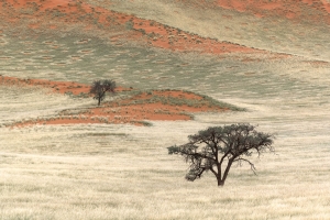 NamibRand