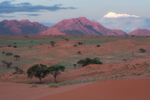 NamibRand