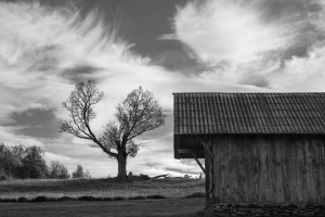 ROM-OL-NZ8_7144