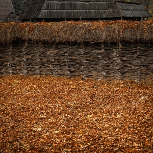 ROM-OL-NZ8_7500