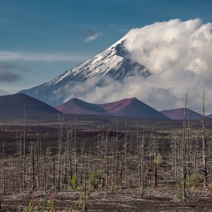 RUS-OL-850_9822 Tolbachik Volcano Area, Kamchatka