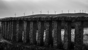 1_ESP-OL-NZ8_5085