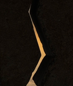 ESP-OL-NZ8_4634
