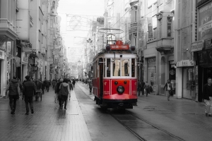 TIS-OL700_4669