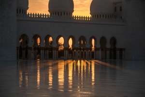UAE-OL-NZ8_0181