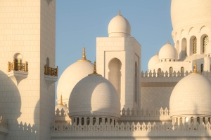 UAE-OL-NZ8_0251