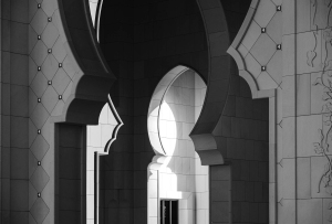 UAE-OL-NZ8_0256