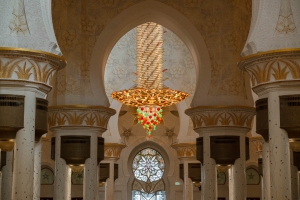 UAE-OL-NZ8_0321
