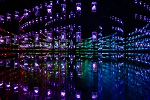 UAE-OL-NZ8_0722 Museum of the Future, Dubai