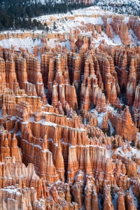 Bryce-Canyon-National-Park,-Utah
